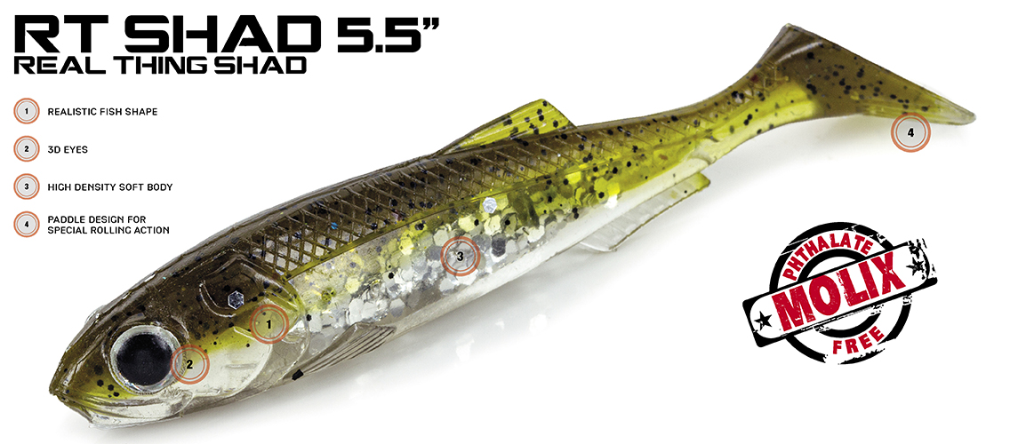 Molix RT Shad 5.5 inch
